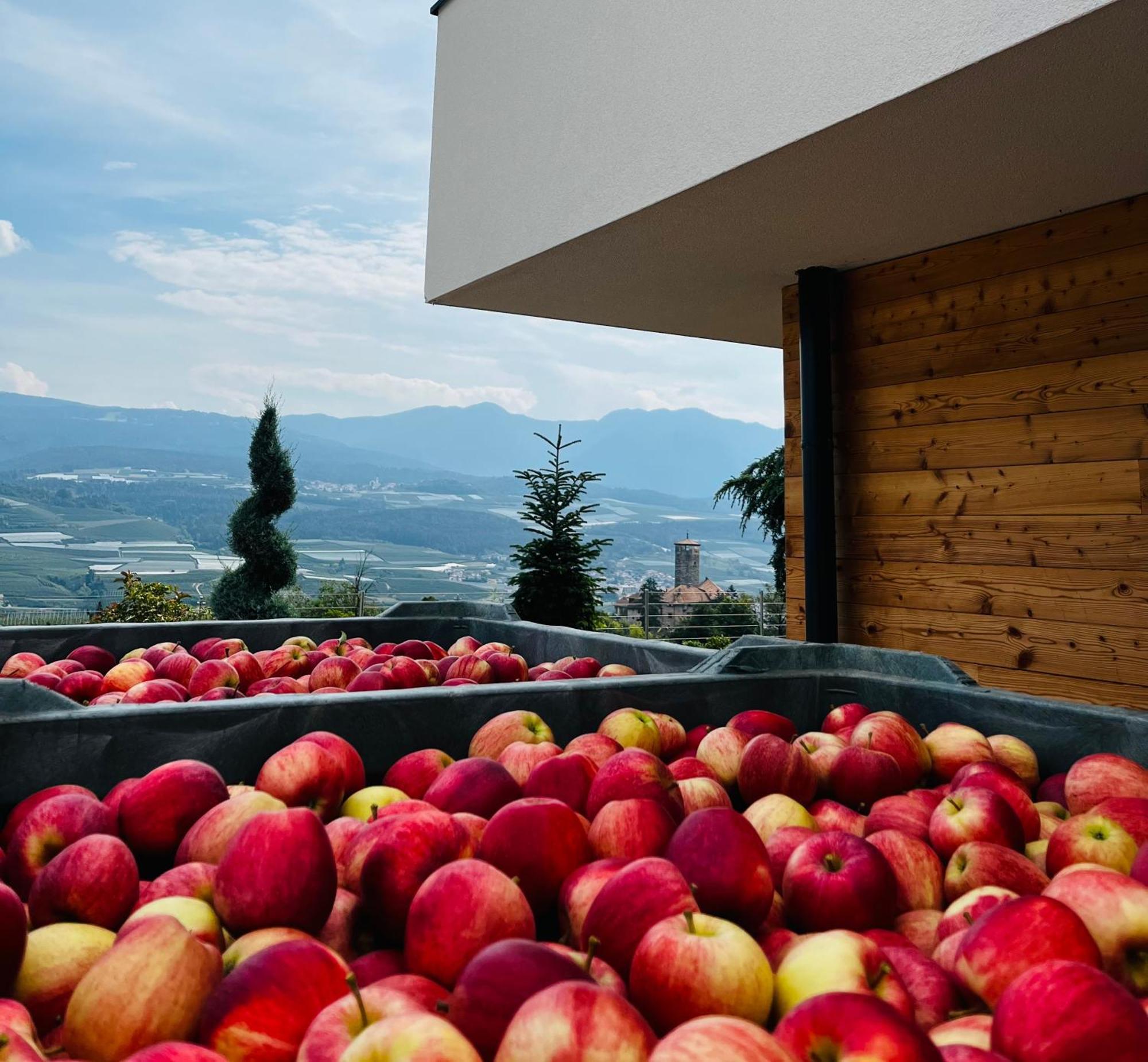 Maso Valer - Agritur Lejlighed Tassullo Eksteriør billede