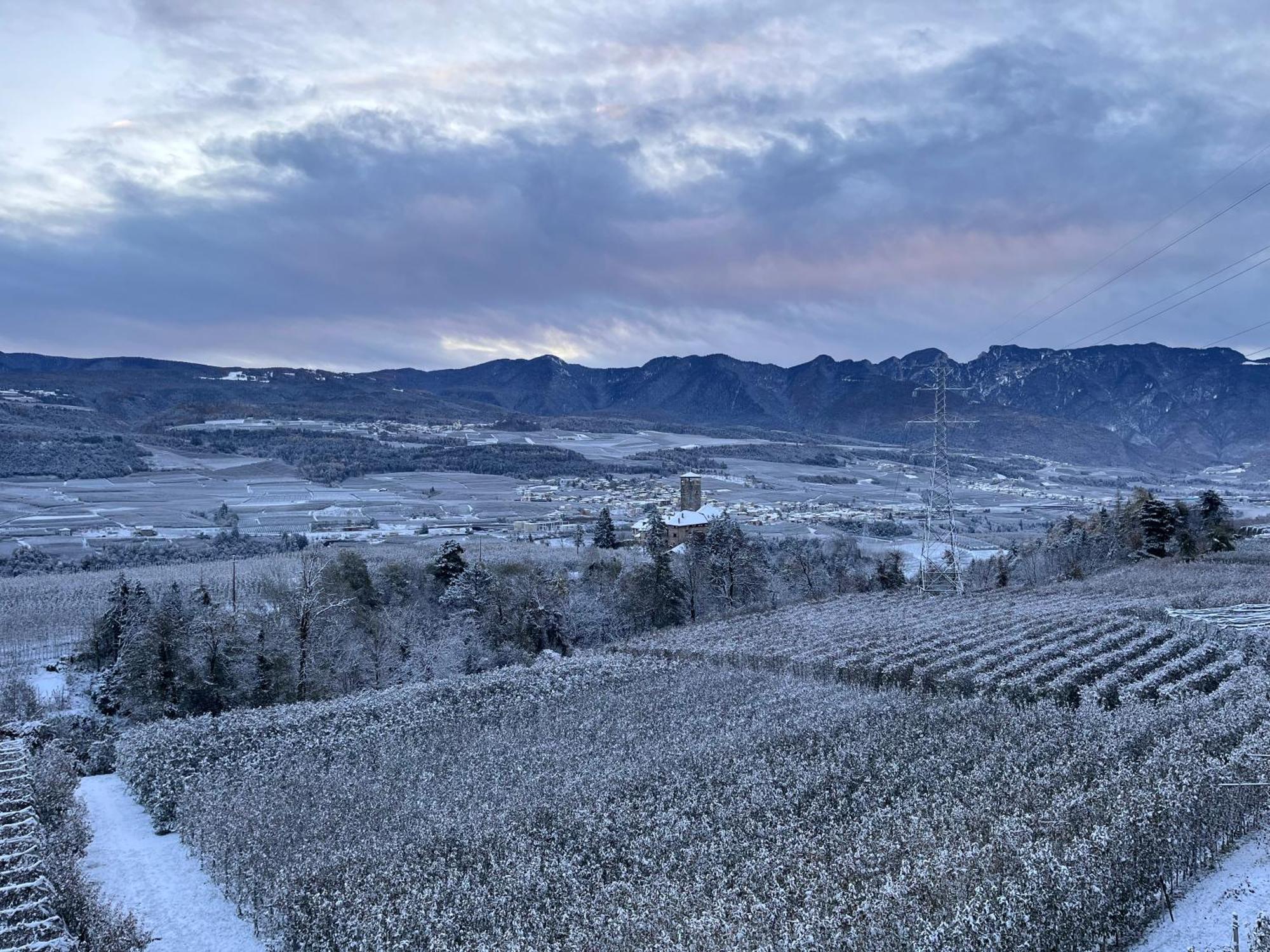 Maso Valer - Agritur Lejlighed Tassullo Eksteriør billede